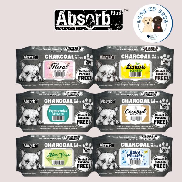 Essential dog products Singapore