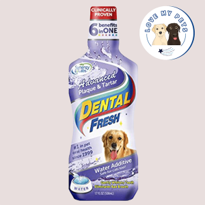 Best cat wipes Singapore