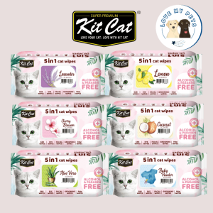 Essential dog products Singapore