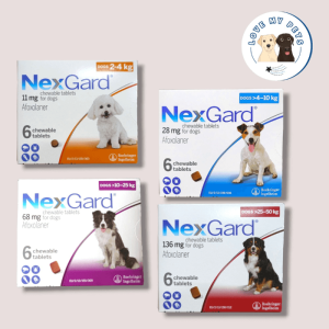 Freezed dried products for dogs Singapore