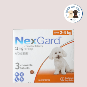 Freezed dried products for dogs Singapore