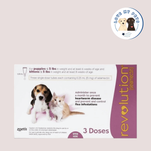 Best dog food Singapore
