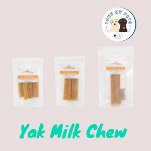 Essential dog products Singapore