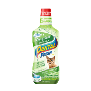Best dog food Singapore