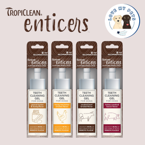 Essential dog products Singapore