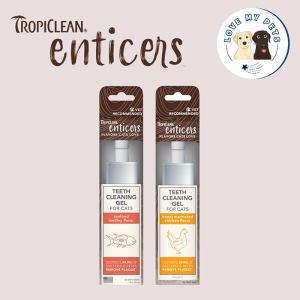 Essential dog products Singapore