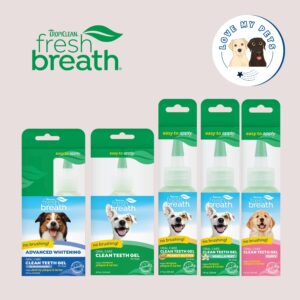 Essential dog products Singapore