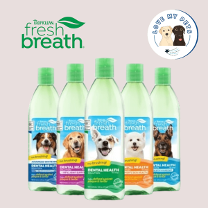 Best dog food Singapore
