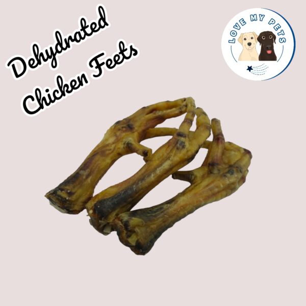 Essential dog products Singapore