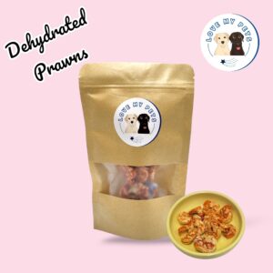 Essential dog products Singapore