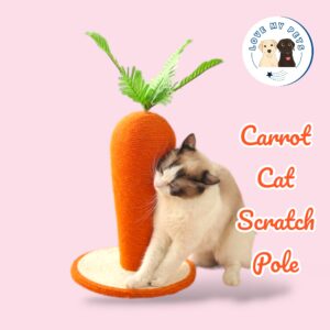 Essential dog products Singapore